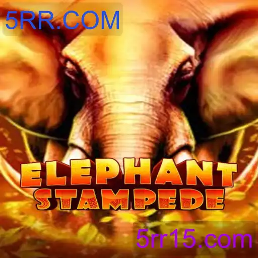 ElephantStampede